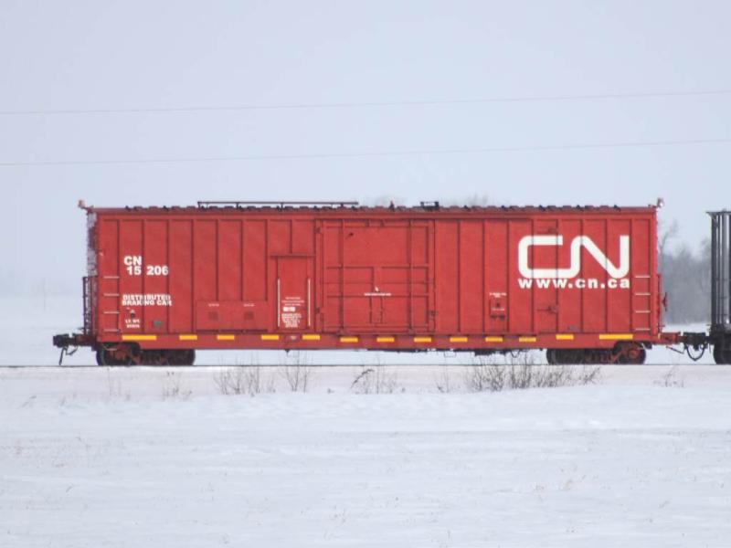 CN 15206 at Bloom