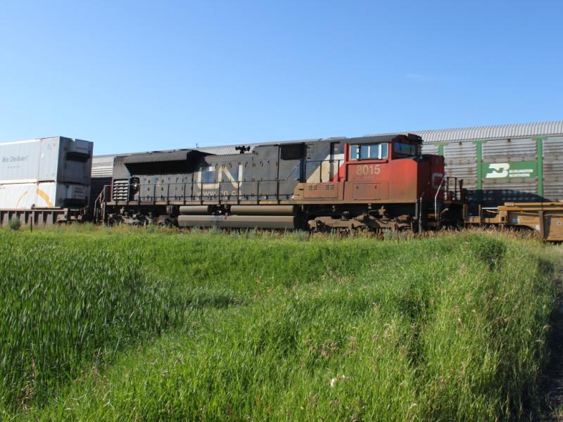 CN 8015 near Winnipeg