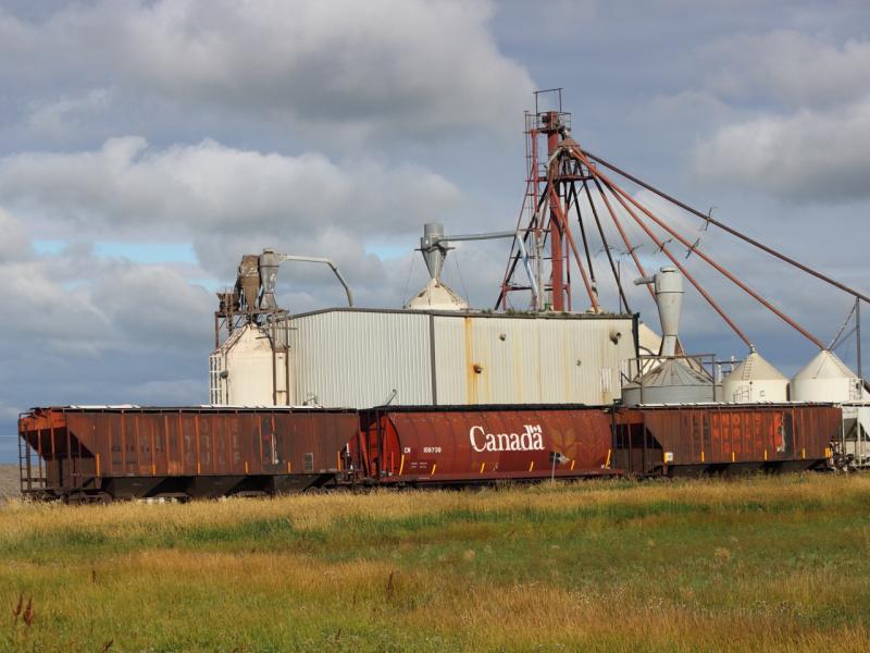 Grain hoppers at Rowatt