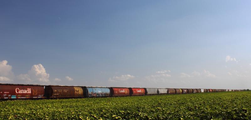 A grain train out of Winnipeg