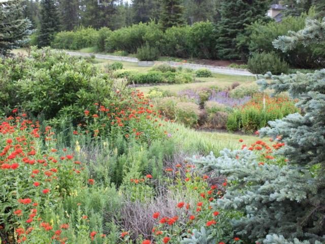 Lake Louise Station Garden