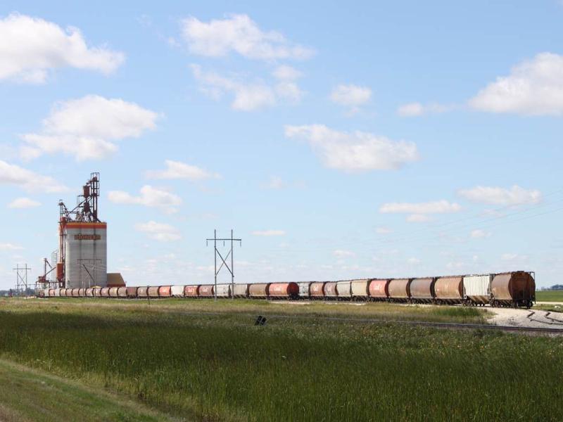 Pioneer elevator near Brunkild